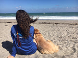 4' Collegiate Nautical Water Dog Leash - Florida State - FSU - Pet Accessories - Marine Fiberglass Direct