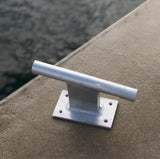 Shallow water pin mount